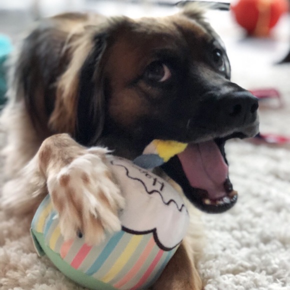 Meet your Posher, Chels - Picture 1 of 1